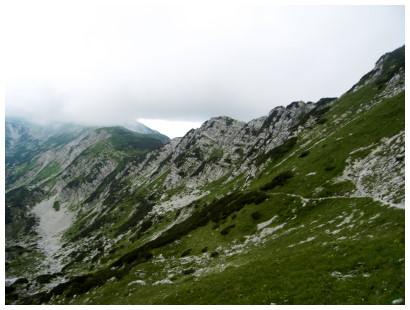 2008-55 2008-55