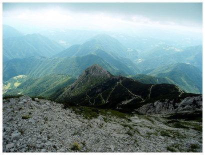 2008-59 2008-59
