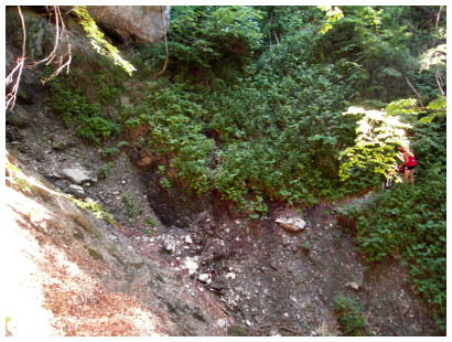 2008-72 2008-72