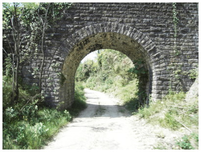 2008-97 2008-97